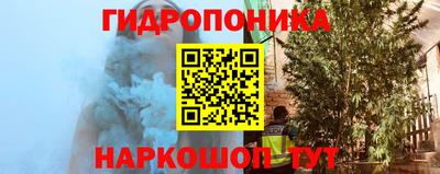 крисы Лесосибирск