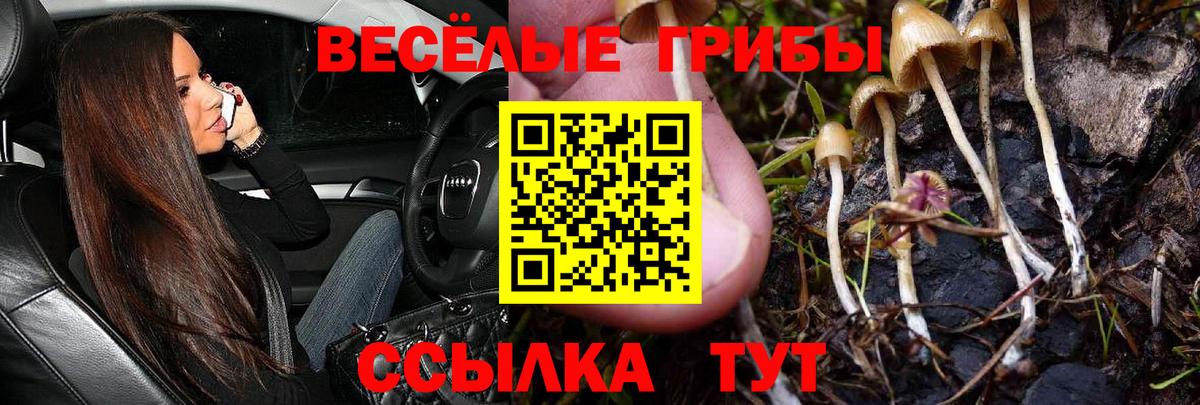 Галлюциногенные грибы мухоморы Домодедово